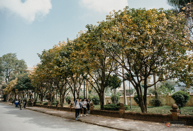 Những góc phố đậm chất Hàn Quốc ngay giữa lòng Hà Nội, lên ảnh mang vibe trong trẻo đến ngẩn ngơ10