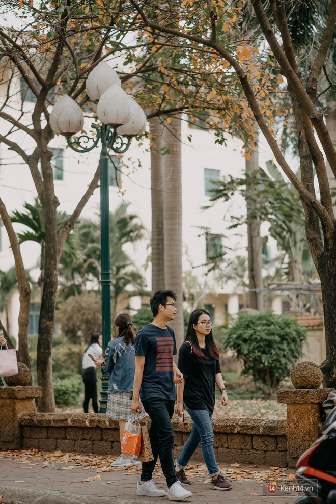 Những góc phố đậm chất Hàn Quốc ngay giữa lòng Hà Nội, lên ảnh mang vibe trong trẻo đến ngẩn ngơ