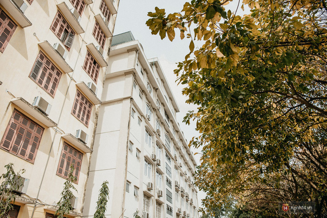 Những góc phố đậm chất Hàn Quốc ngay giữa lòng Hà Nội, lên ảnh mang vibe trong trẻo đến ngẩn ngơ