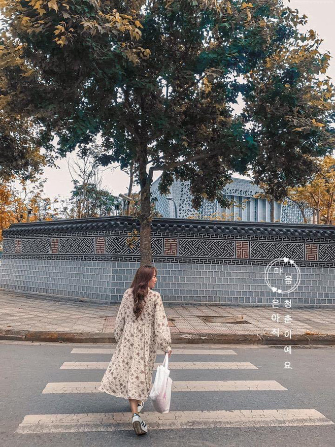 Những góc phố đậm chất Hàn Quốc ngay giữa lòng Hà Nội, lên ảnh mang vibe trong trẻo đến ngẩn ngơ